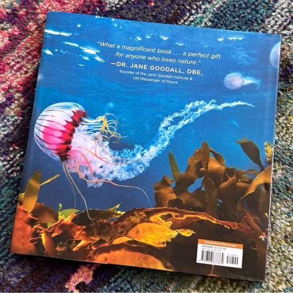 NWT Hardcover Book ‘A Journey Under the Sea’ - Picture 2 of 9